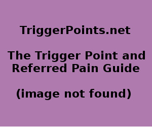 torso pain areas